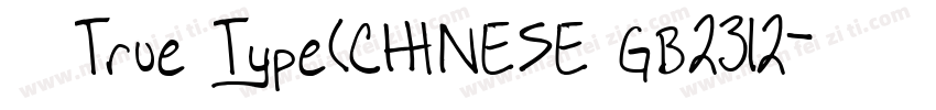 常规True Type(CHINESE GB2312字体转换